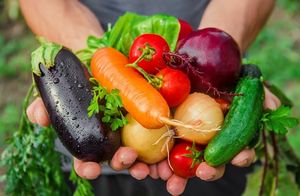 Vegetable Gardening